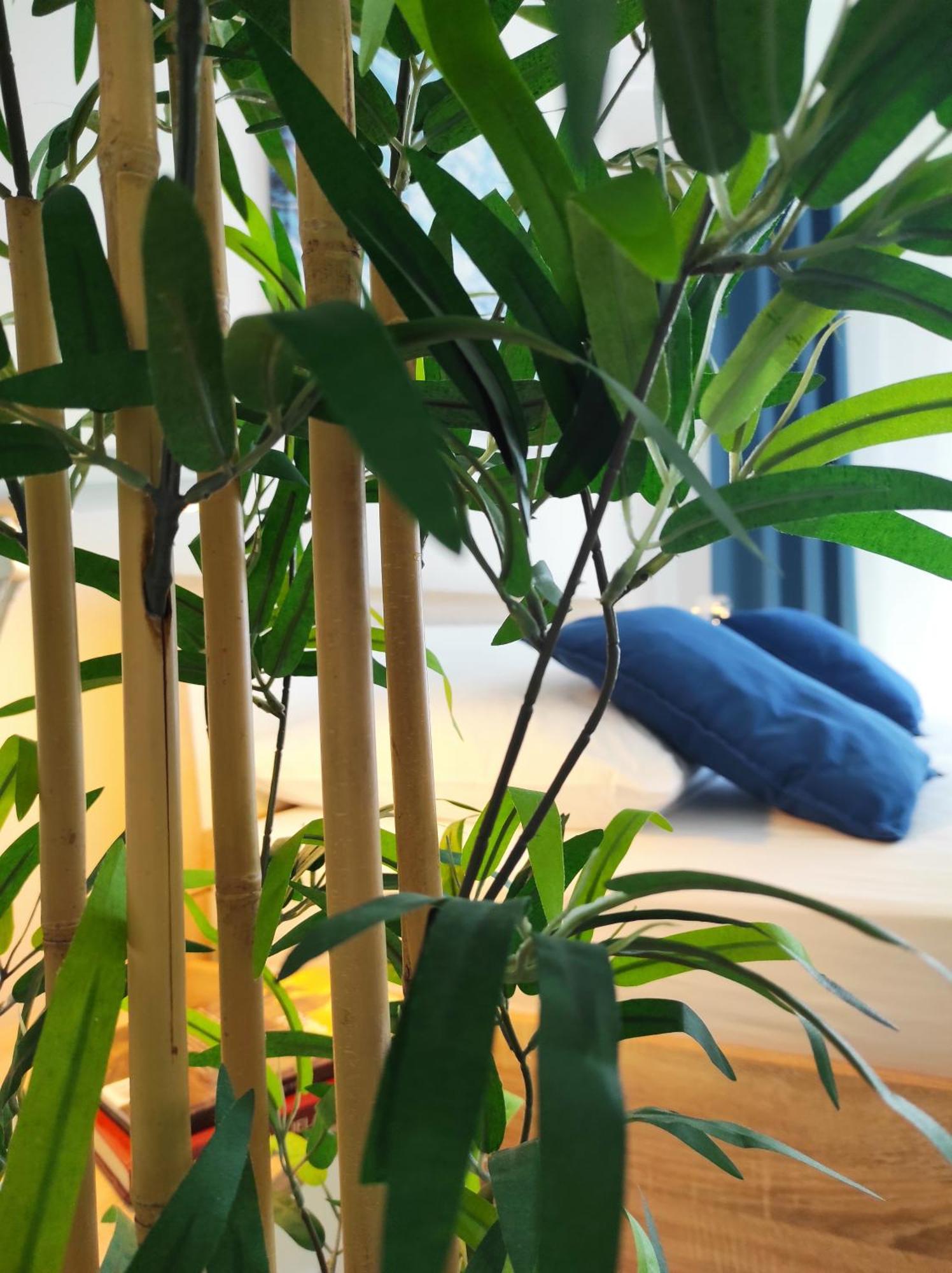 扎达尔Punta Faro公寓 外观 照片